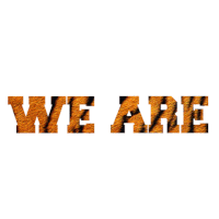 educaÃ§Ã£o Sticker by Tigrinhos e Golden Tigers