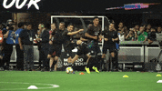 liga mx football GIF by MiSelecciónMX