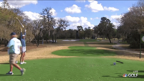 Hole In One Golf GIF by LPGA