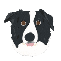 Dog Love Sticker