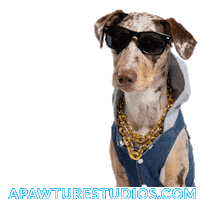 Dog Looking Good Sticker by Apawture Studios Pet Photography