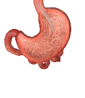 Weight Loss Balloon Sticker by Prof. Dr. Hasan Erdem