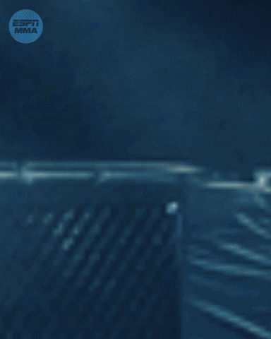 Rose Fighting GIF by ESPN