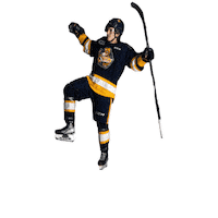 ottershockey ohl erie otters erie otters hockey otters hockey Sticker