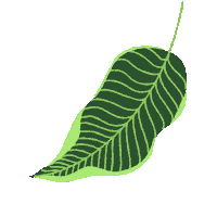 Summer Fall Sticker