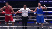 Boxing Box GIF by Bekzatsport