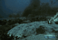 guy hangs GIF