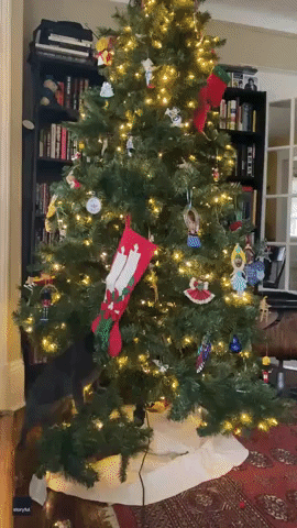 Cat Uses Christmas Tree as 'Christmas Treadmill'