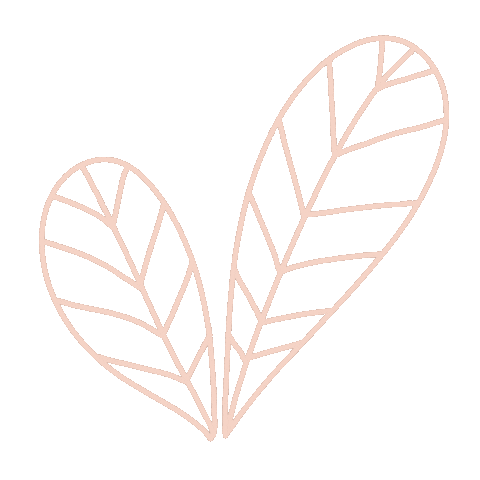 Leaf Leaves Sticker
