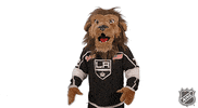 Ice Hockey Reaction GIF by NHL