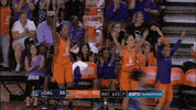 lets go yes GIF by WNBA