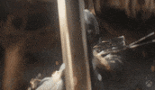 League Of Legends Demon GIF by Xbox
