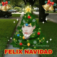 Merry Christmas GIF