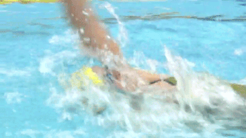 GIF by Michigan Athletics