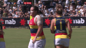 celebrate GIF by Adelaide Crows