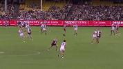 afl douglas GIF by Adelaide Crows