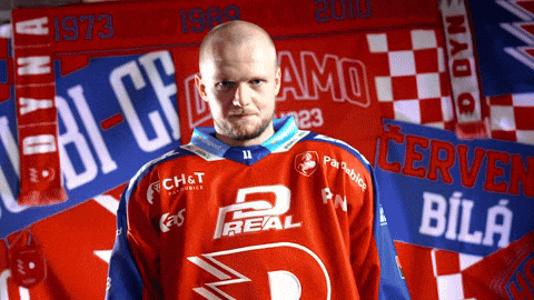 Hockeytown GIF by HC Dynamo Pardubice