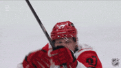 Happy Carolina Hurricanes GIF by NHL