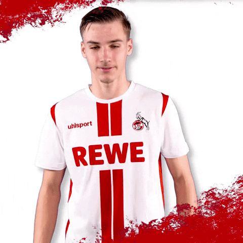 1 Fc Cologne Football GIF by 1. FC Köln
