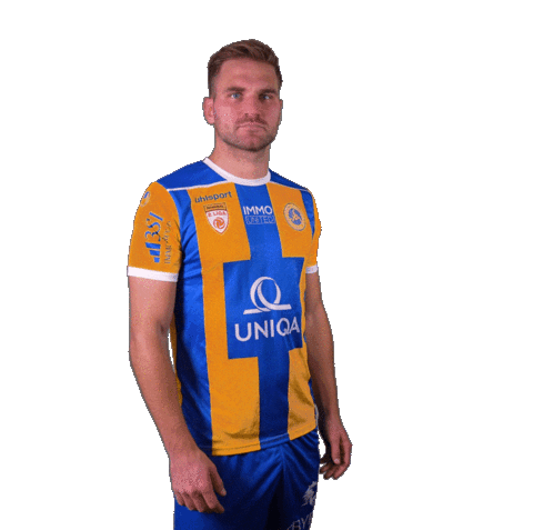 Football Sport Sticker by FirstViennaFC