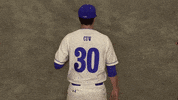 Cuw GIF by CUWFalcons