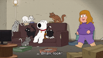brian jess GIF by Family Guy