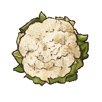 Cauliflower Sticker