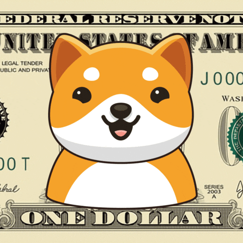 Money Nft GIF by Baby Doge Coin