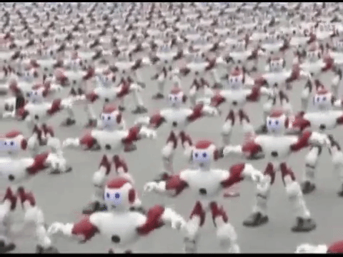 GIF by The Telegraph