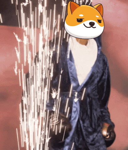 Money Crypto GIF by Baby Doge Coin