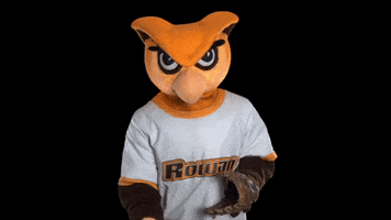 Ncaa Mascot GIF by Rowan University