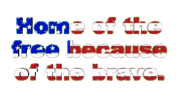 Happy Independence Day Sticker by OpticalArtInc.