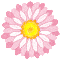 Flower Wildflower Sticker
