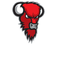 Basketball Koripallo Sticker by Bisons