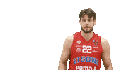 Basketball Hoops Sticker by Basket_fi