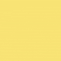 Photography Camera GIF by Revel Photo Co.