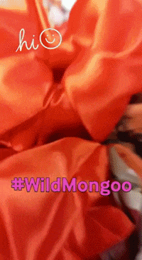 WildMongoosa africa bloom empower womenempowerment GIF