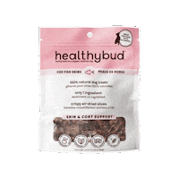 Fish Dog Treats Sticker by healthybud