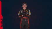 Ver Red Bull GIF by Red Bull Racing