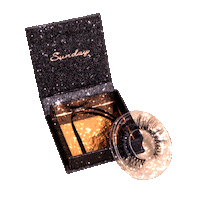 Eyelashes Lashe Sticker by Picaso Lashes