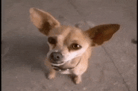 clioawards  GIF