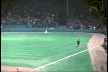 catch yo GIF