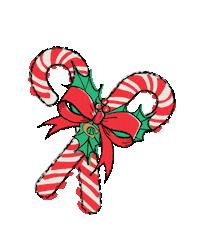 Christmas Happy Holidays Sticker by Coach