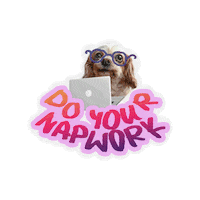 7kingcavaliers cavalier king charles spaniel do your job 7kingcavaliers napwork Sticker