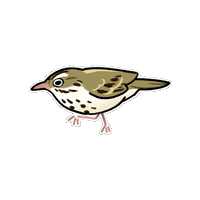 Bird 鳥 Sticker
