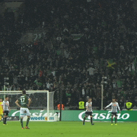 geoffroy guichard fans GIF by AS Saint-Etienne