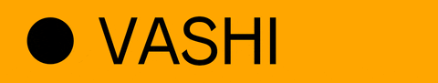 Jewellery GIF by VASHI