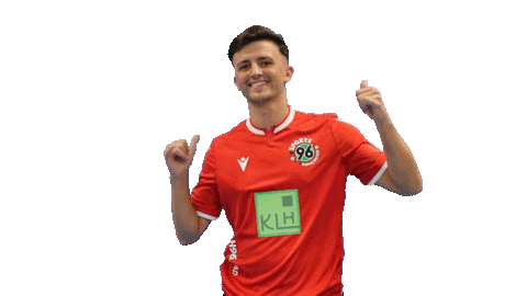 Hannover 96 Fifa Sticker by H96eSports