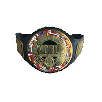World Champion Sticker by SilvaBJJ