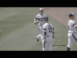 florida atlantic baseball GIF by FAU Athletics